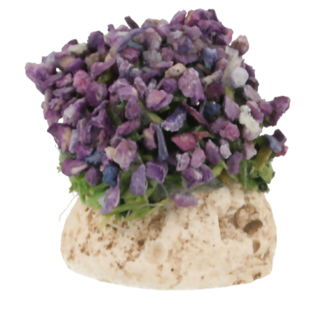 Pied de lavande Puce