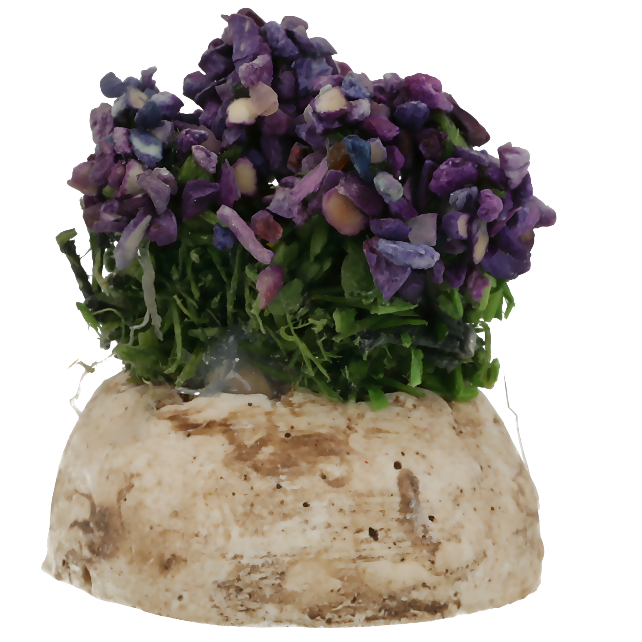 Pied de lavande N°1