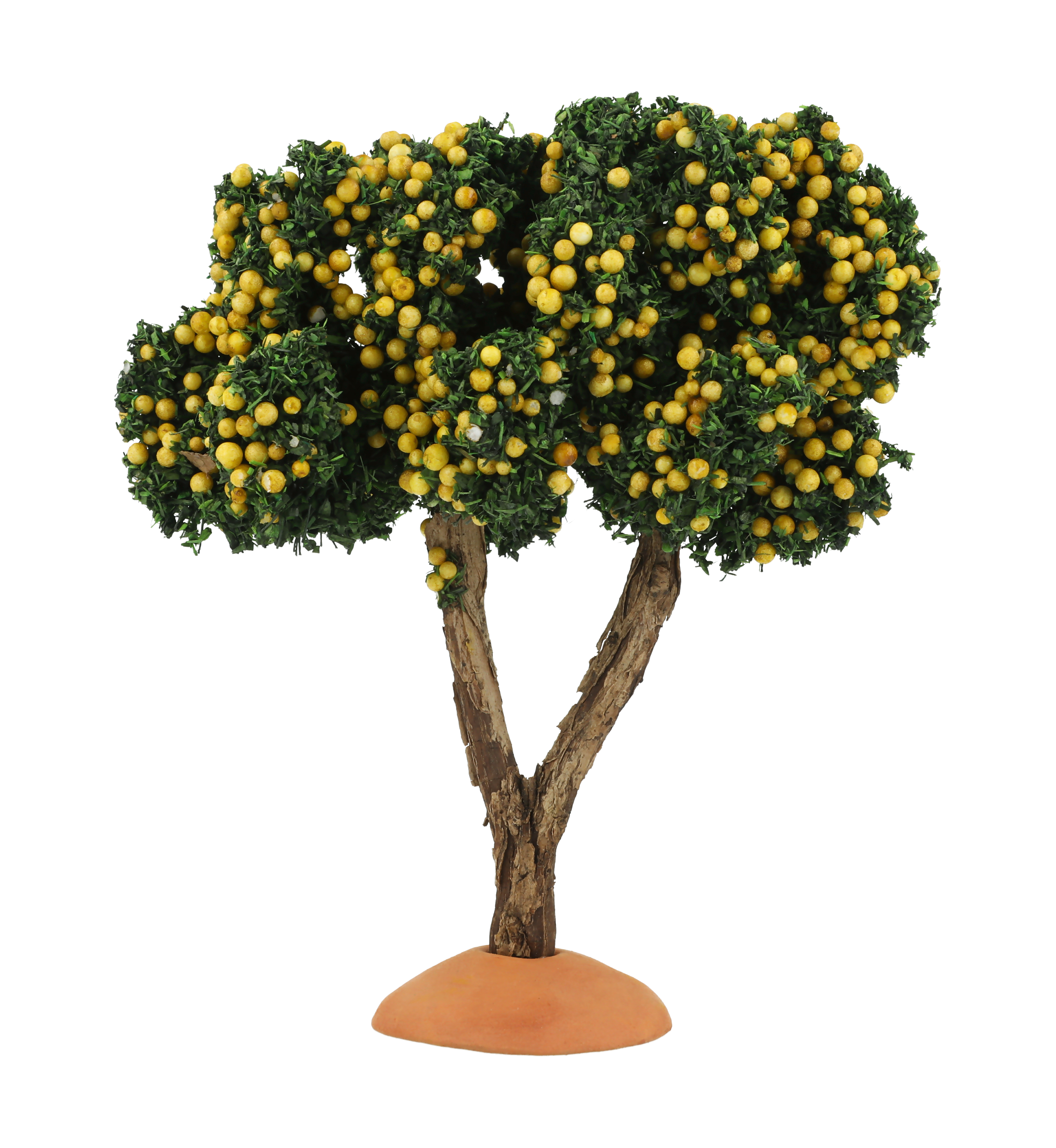 Pastel - Citronnier 12 cm