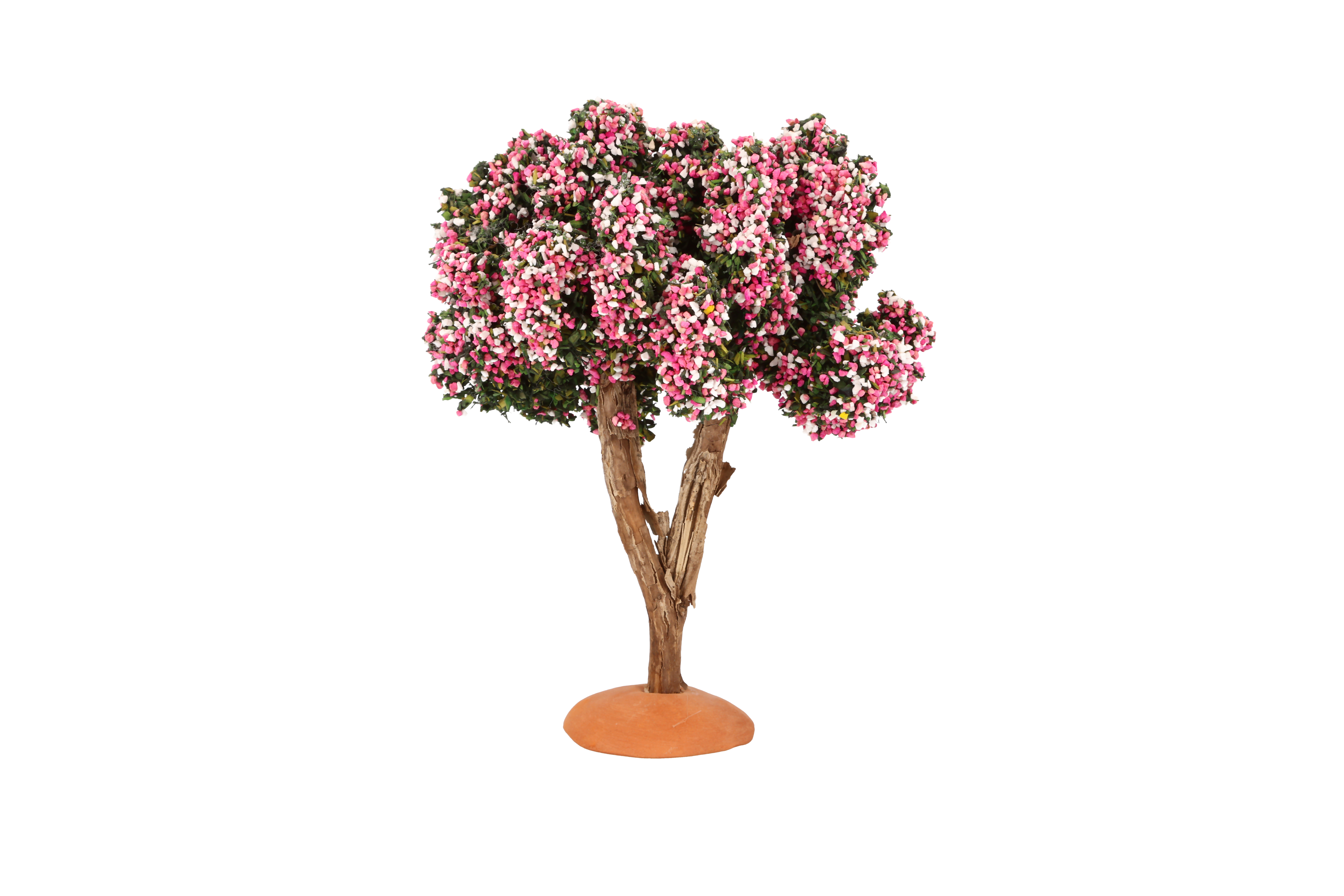 Pastel - Amandier 12 cm