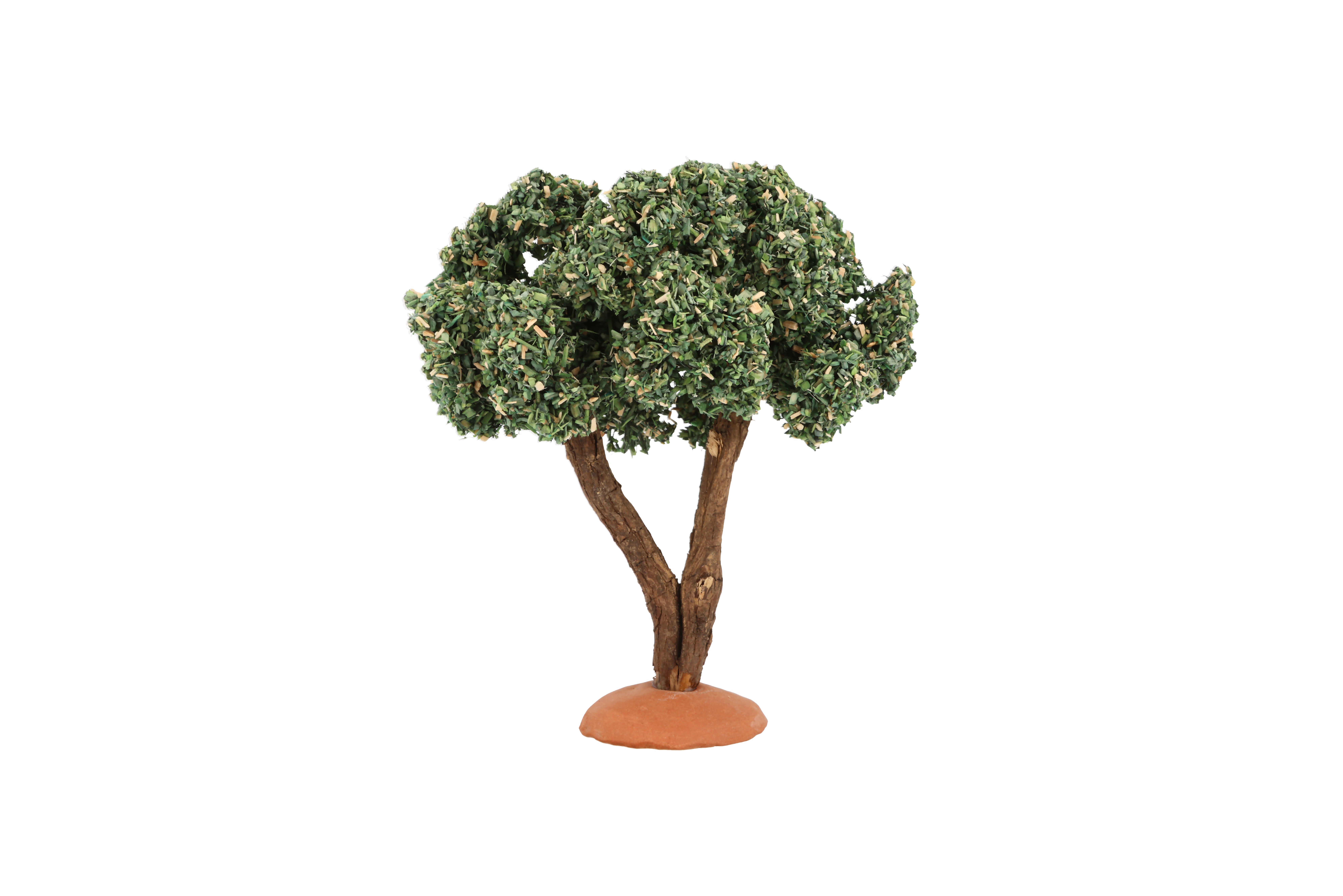 Pastel - Olivier 12 cm