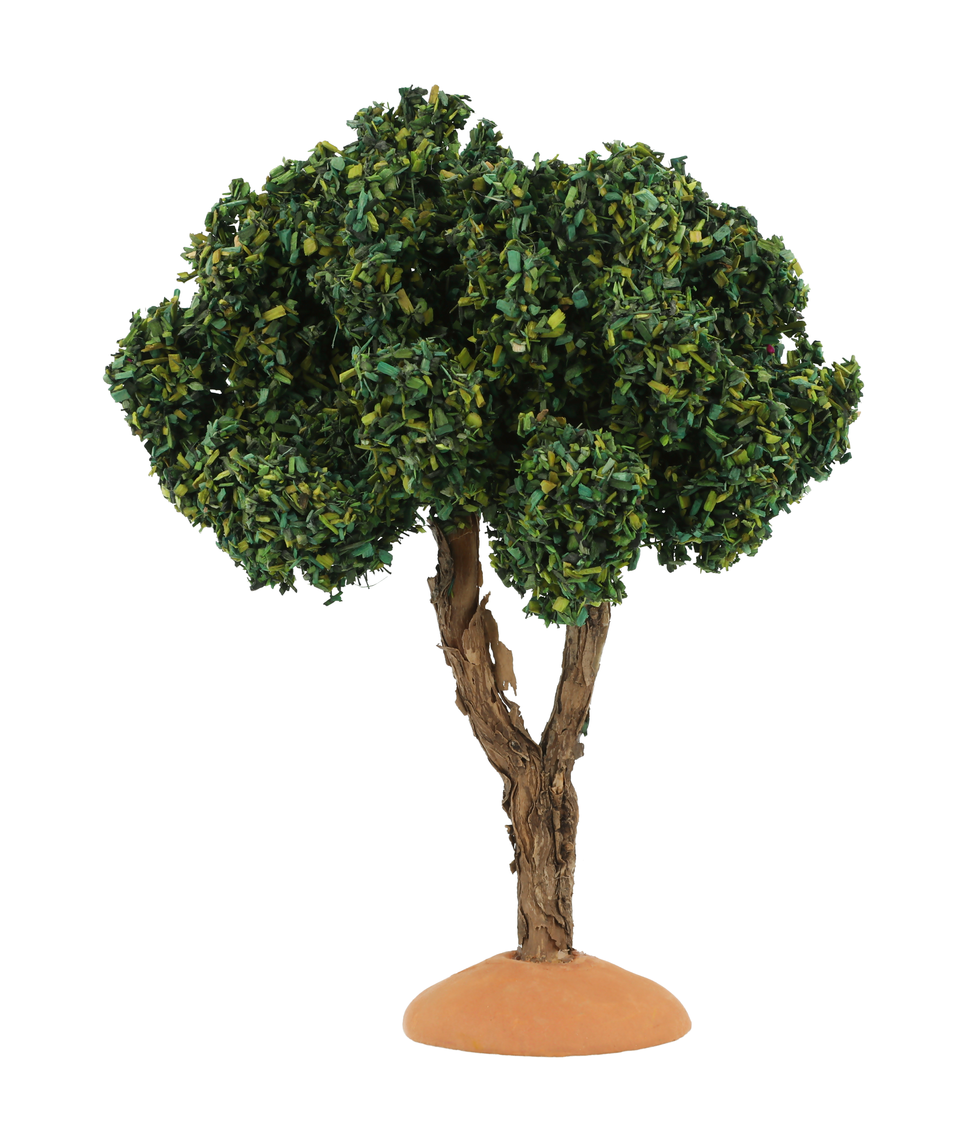 Pastel - Platane 12 cm