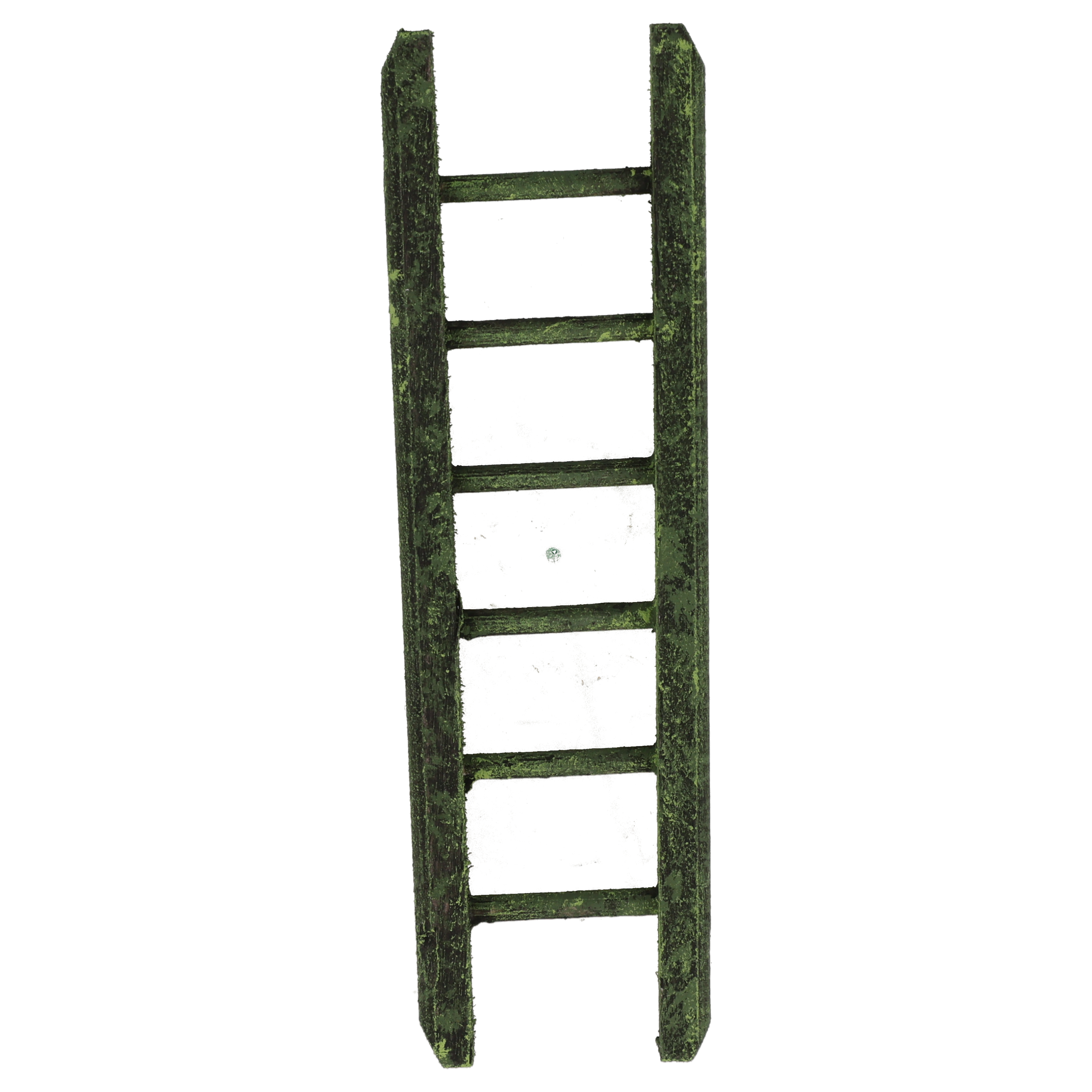 Echelle en bois verte