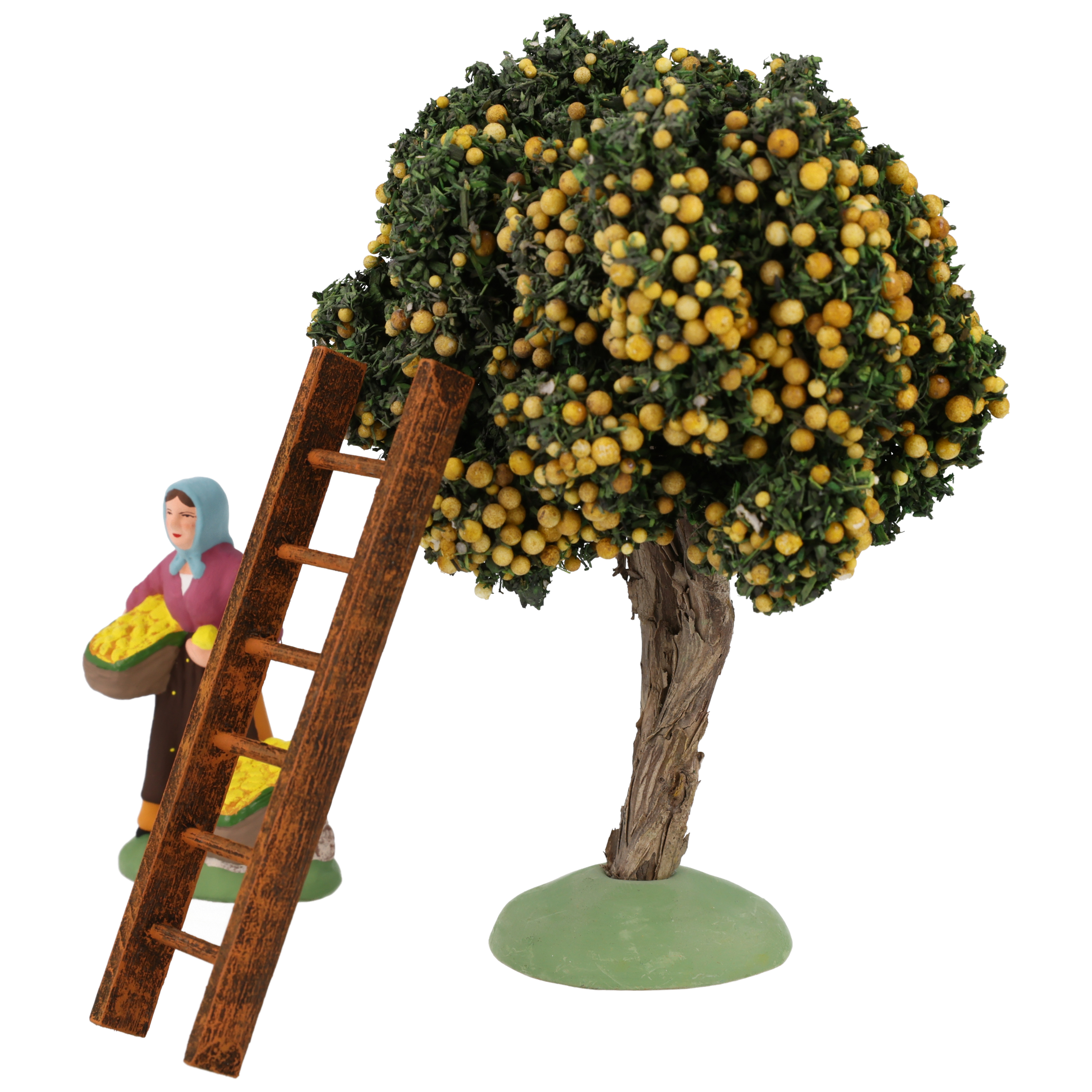 Coffret Citrons (Marchande de citrons N°2 + Citronnier 12 cm + Echelle Ocre)