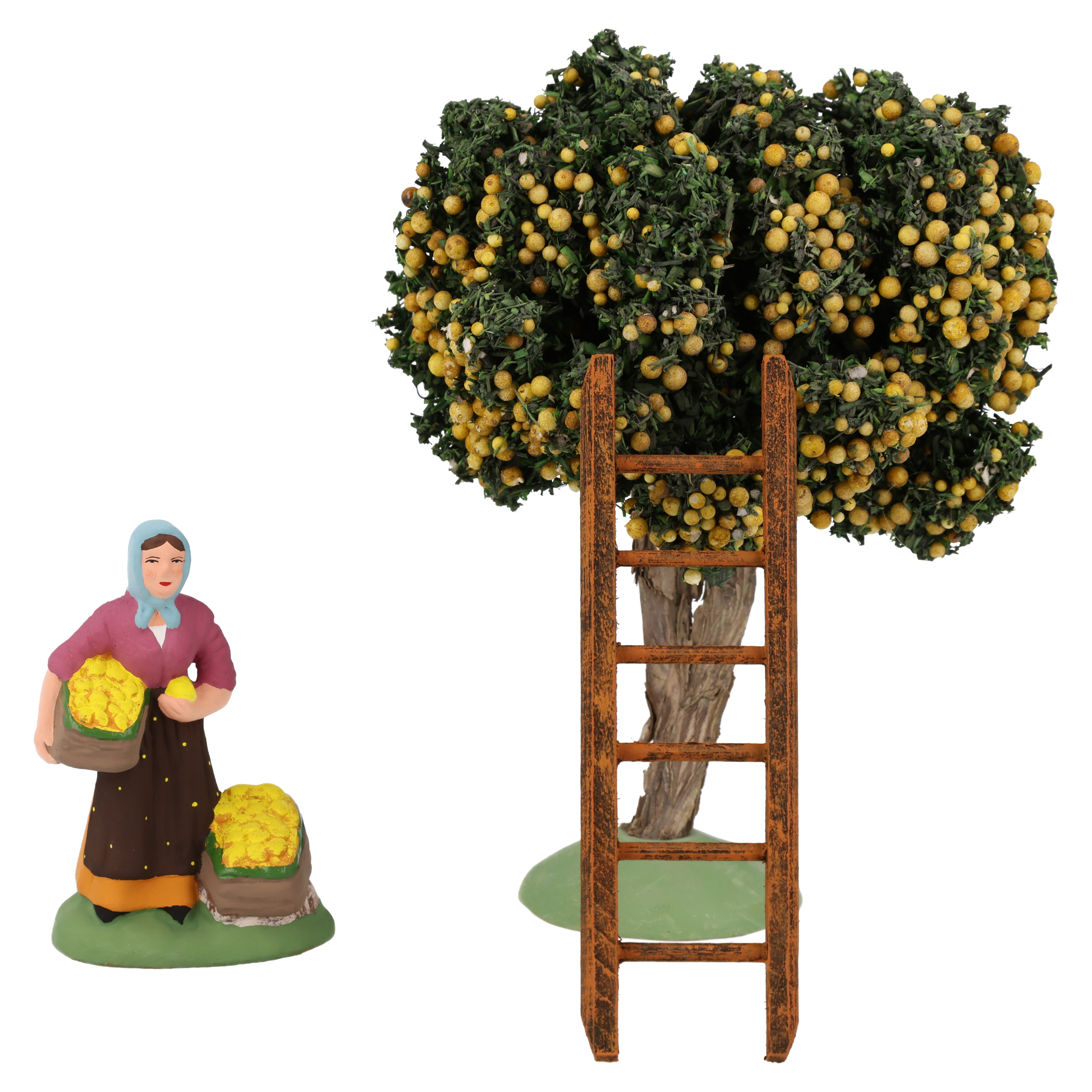 Coffret Citrons (Marchande de citrons N°2 + Citronnier 12 cm + Echelle Ocre)