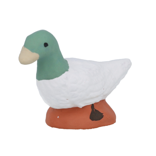 Pastel - Canard N°2