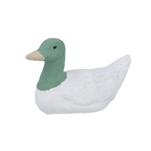 Pastel - Canard nageant N° 2