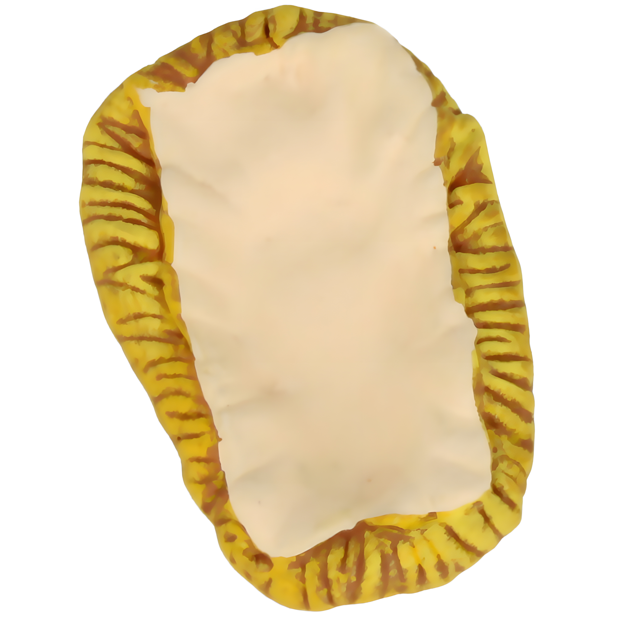 Berceau de Jésus N° 2